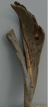 Bois flotte dorure peint dore sculpture