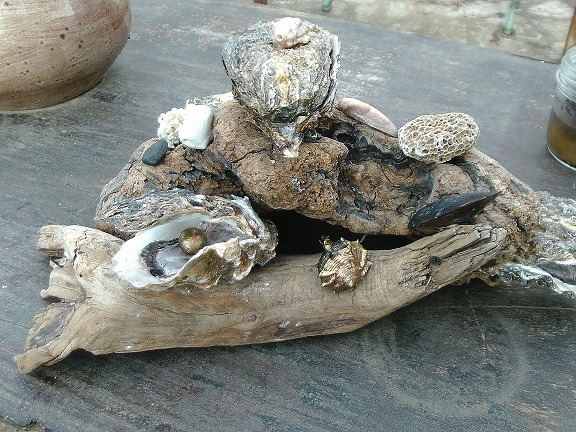 décor bois flotté huitres escargot mer bougie table perle